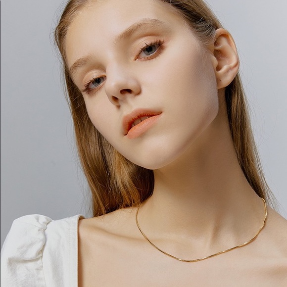 Jewelry - Snakebone necklace